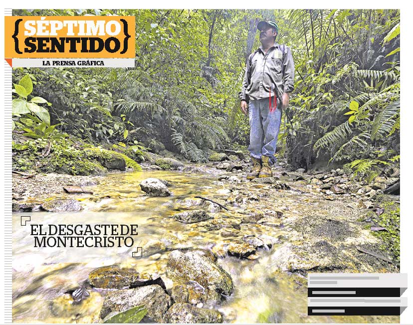 Imagen Artículo