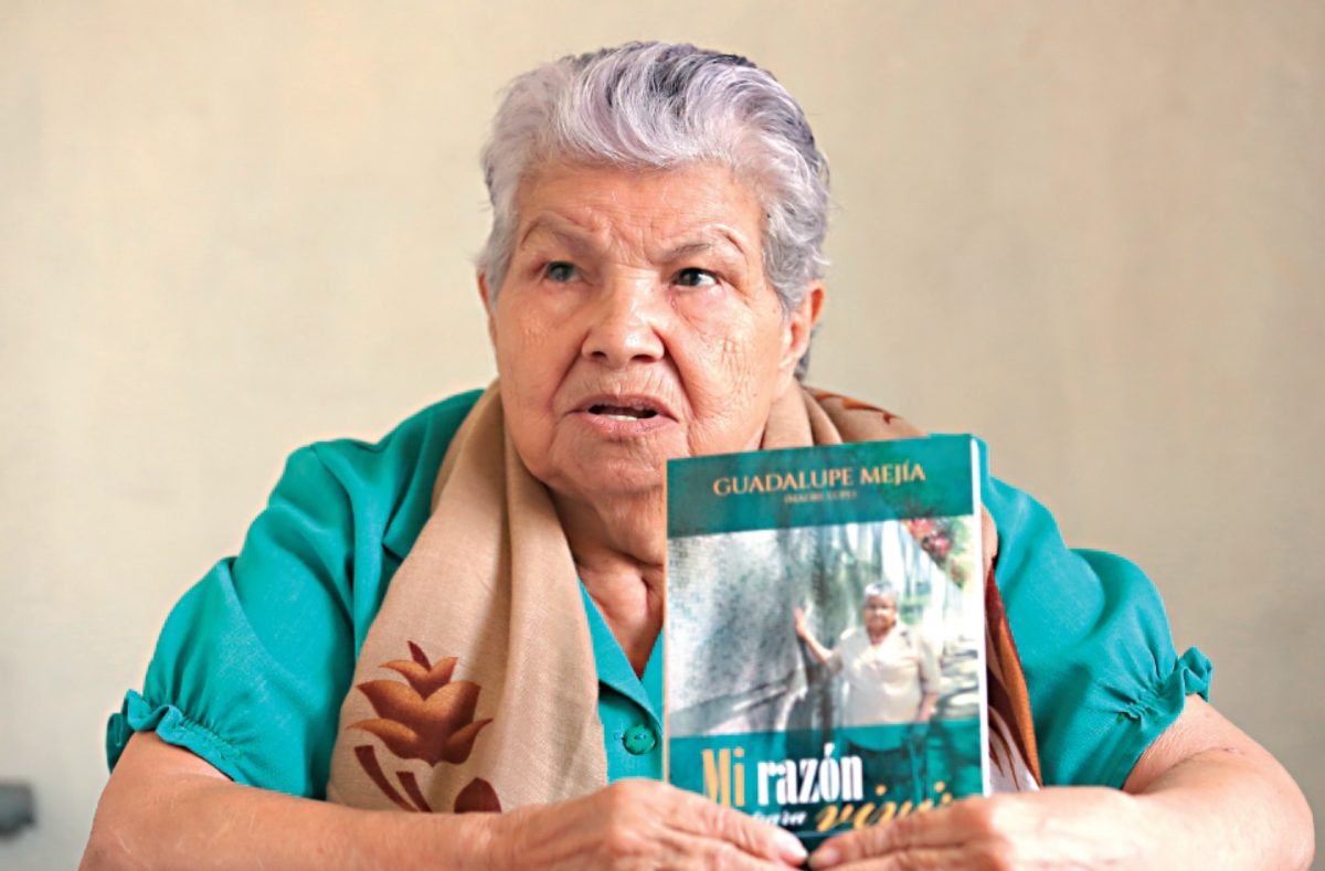 Imagen Artículo