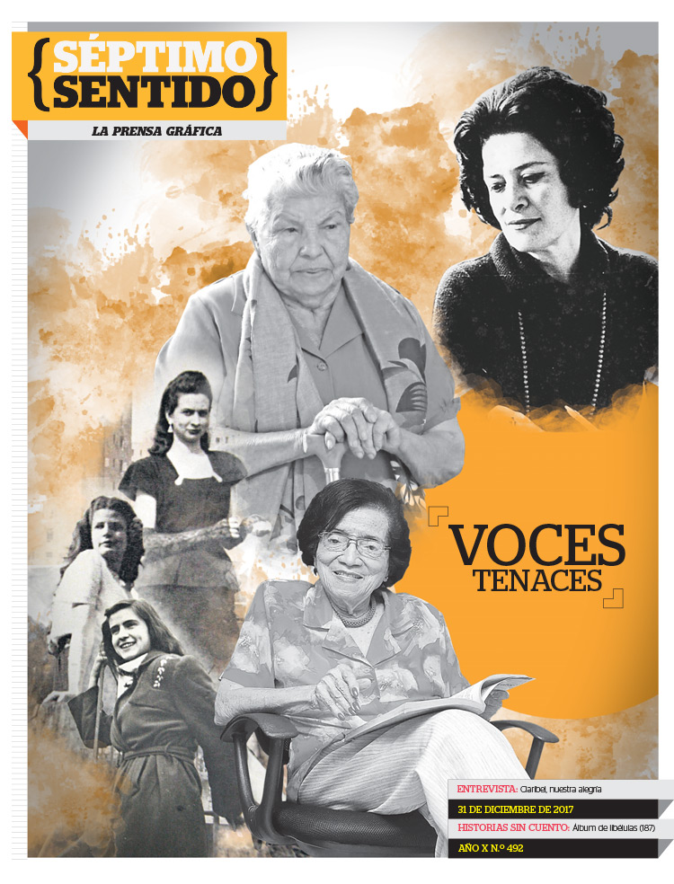 Imagen Artículo