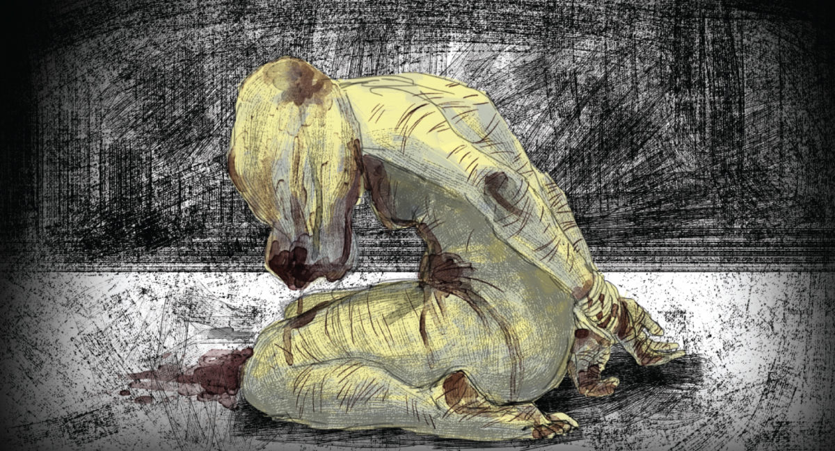 Imagen Artículo