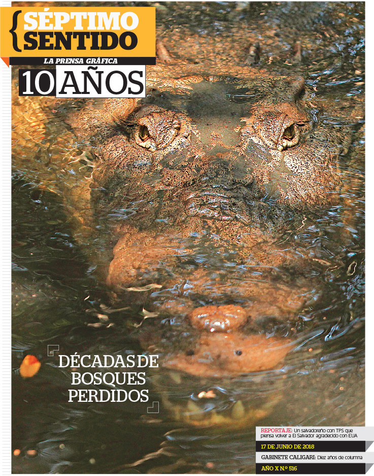 Imagen Artículo