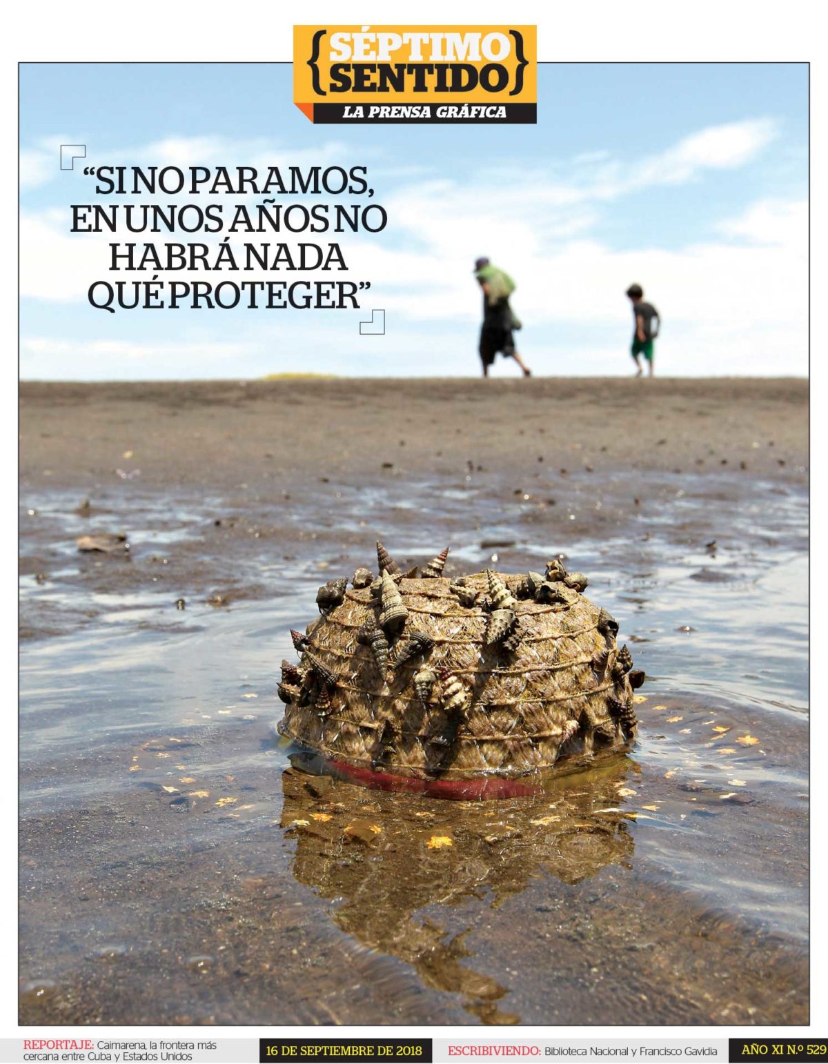 Imagen Artículo