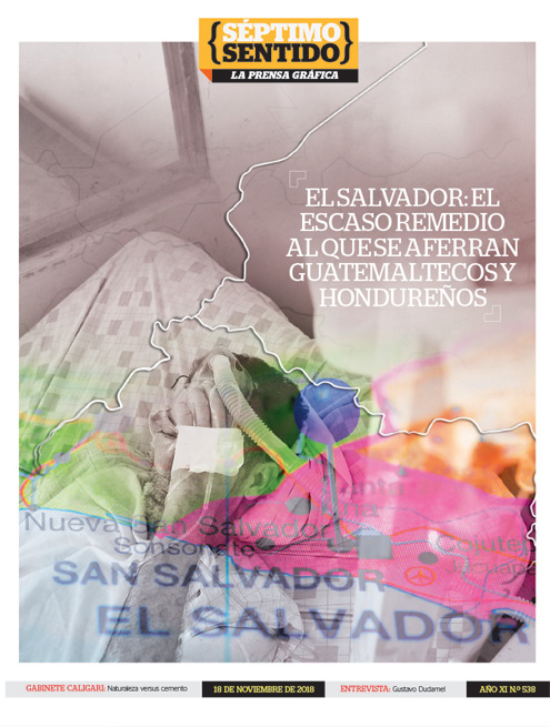 Imagen Artículo