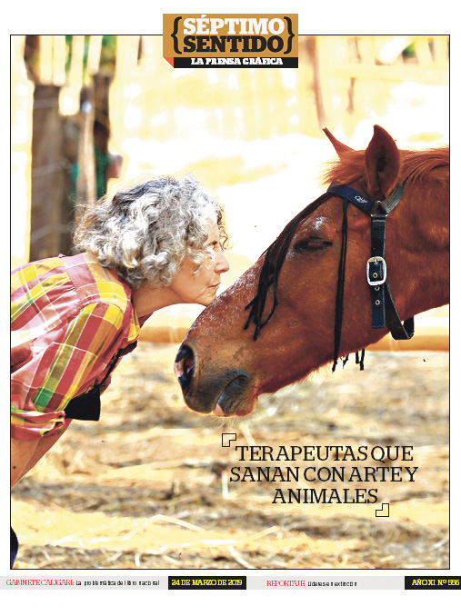 Imagen Artículo