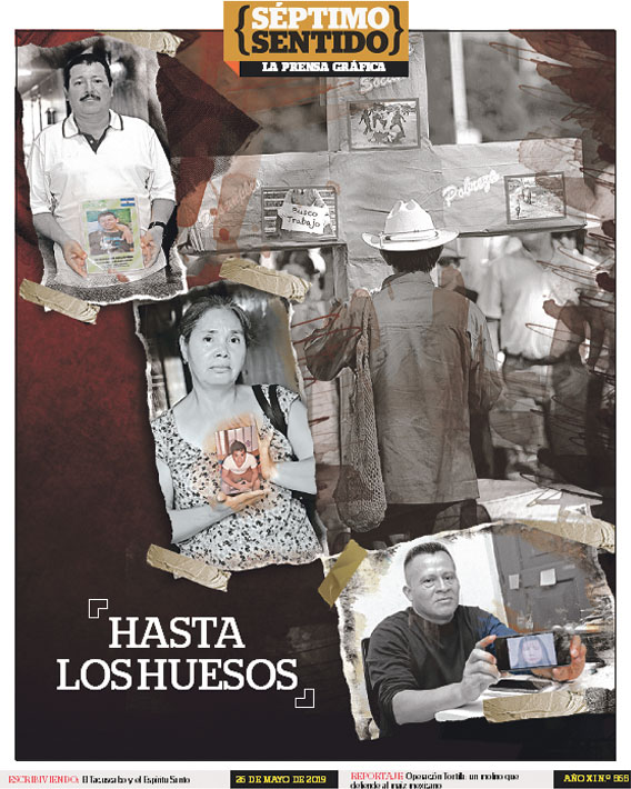 Imagen Artículo