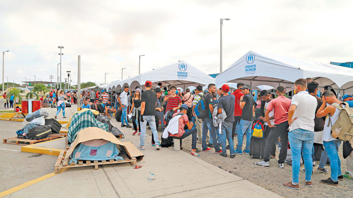 Imagen Artículo